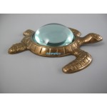 lupa broscuta 244.242B